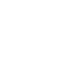 StoneFlower 3D